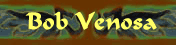 Bob Venosa